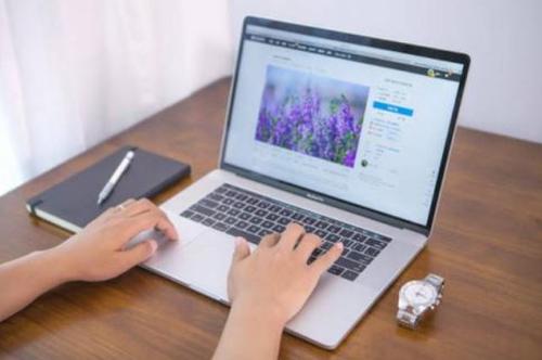 分享网站程序与seo优化排名的关系