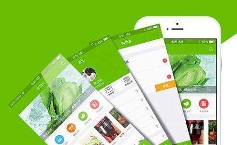如何做小程序：生鲜小程序开发有哪些基础功能？