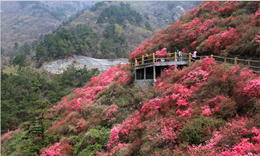 解读全域旅游，发展旅游经济